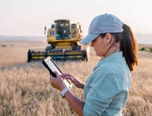 Comment rédiger un rapport de stage agricole ?